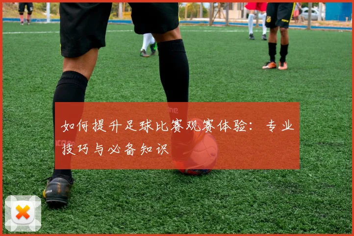 如何提升足球比赛观赛体验：专业技巧与必备知识