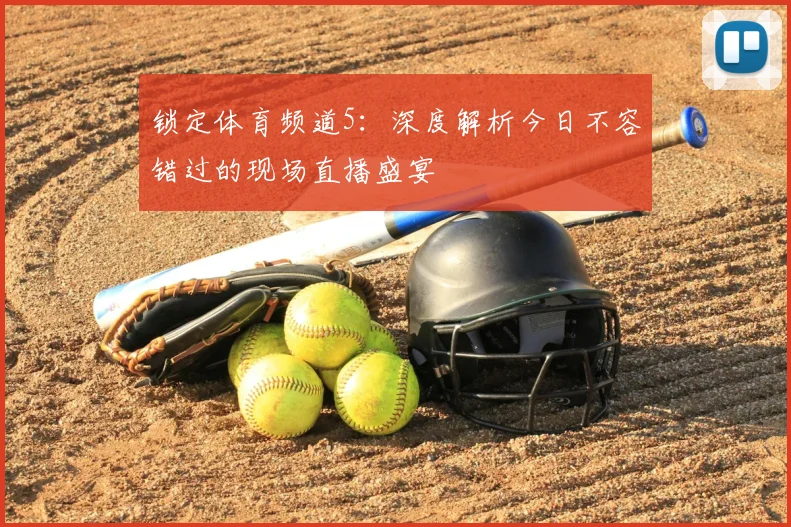 锁定体育频道5：深度解析今日不容错过的现场直播盛宴
