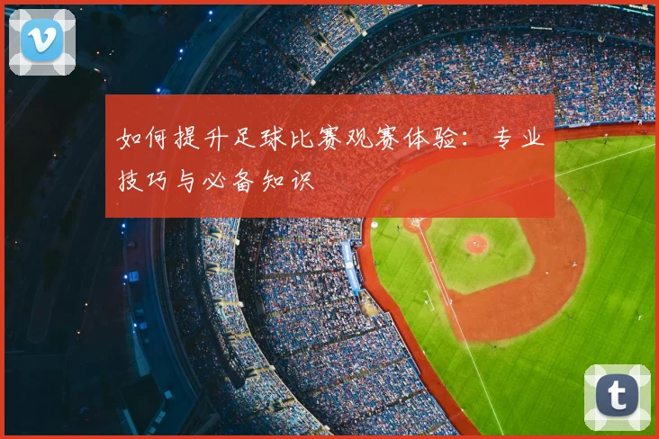 如何提升足球比赛观赛体验：专业技巧与必备知识